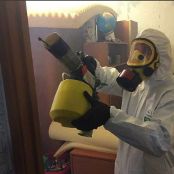 Уничтожение клопов в квартире. Варшавская